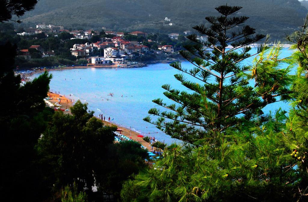 Villa Laura Sea View Apartments Santa Maria di Castellabate Buitenkant foto